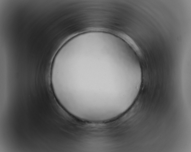 X0000092061244200710031055