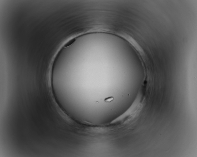 X0000092061246200710031055