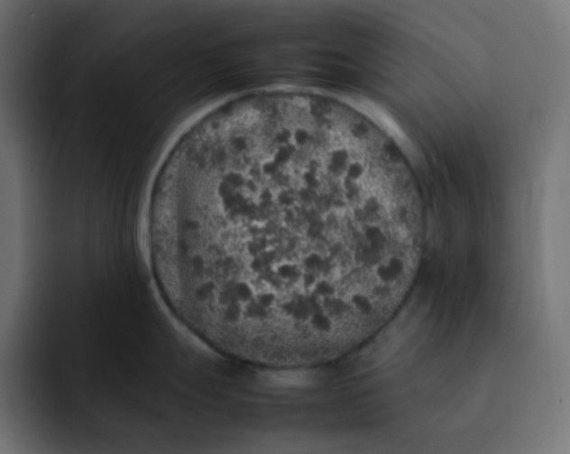 X0000092061247200710031055