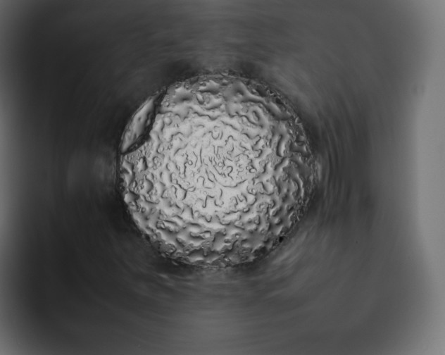 X0000092061251200710031054