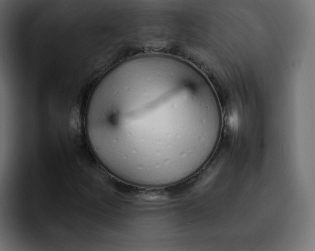 X0000092061252200710031054