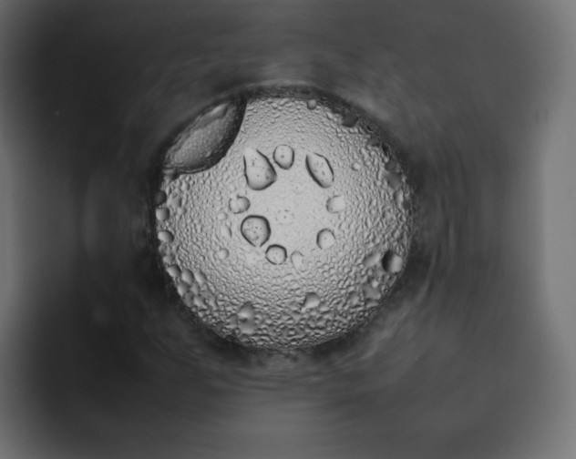 X0000092061255200710031054