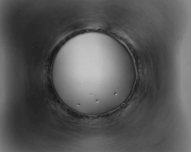 X0000092061256200710031054