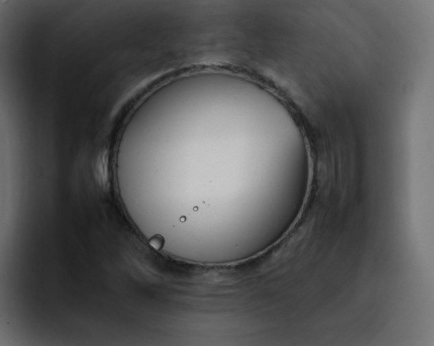 X0000092061262200710031054