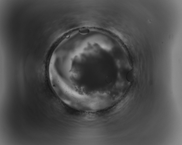 X0000092061263200710031054