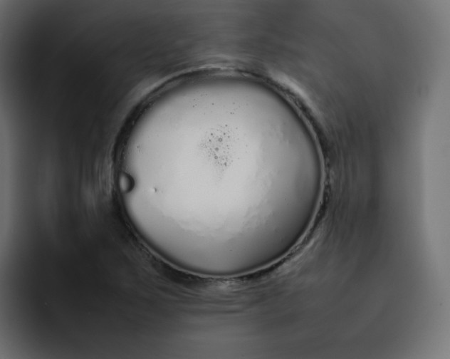 X0000092061267200710031054