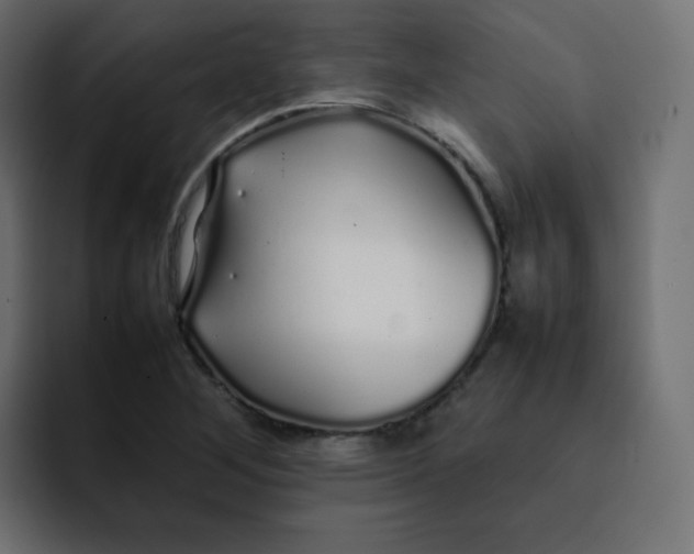 X0000092061268200710031054