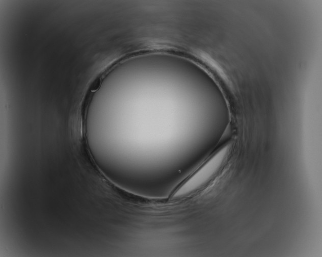 X0000092061269200710031054