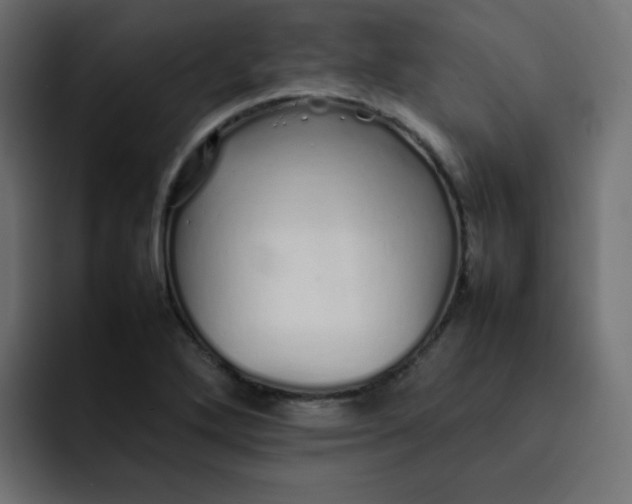 X0000092061272200710031054