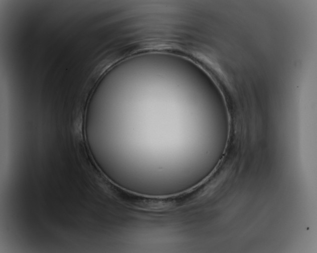 X0000092061273200710031054