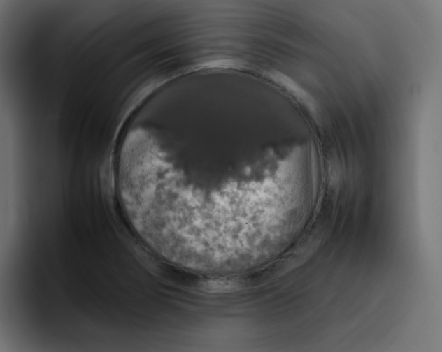 X0000092061274200710031054