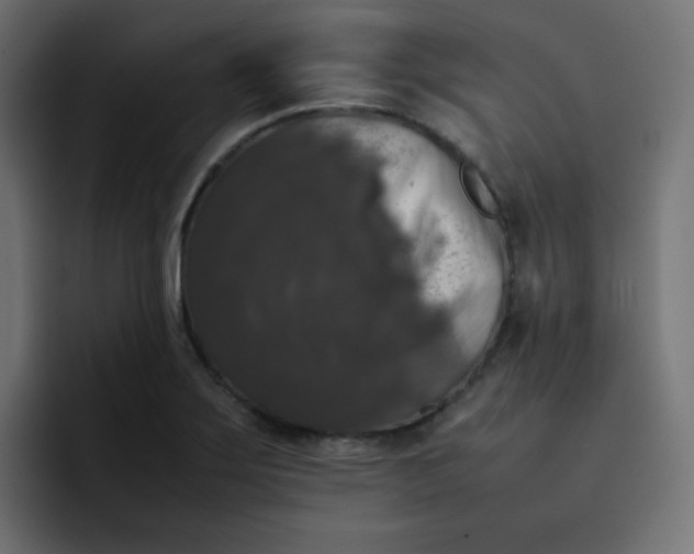 X0000092061275200710031054