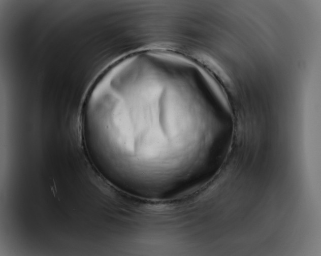 X0000092061276200710031054