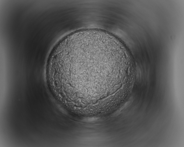 X0000092061278200710031054