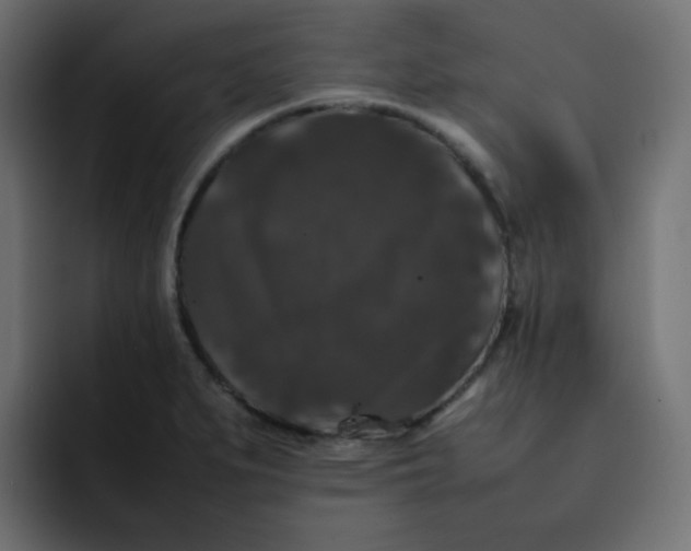 X0000092061279200710031054