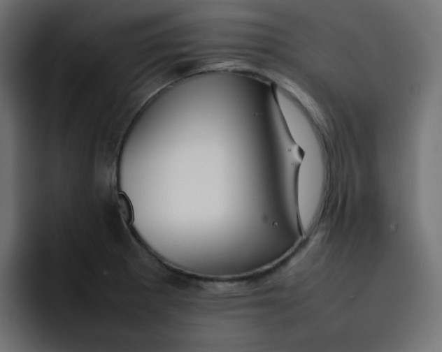 X0000092061281200710031054