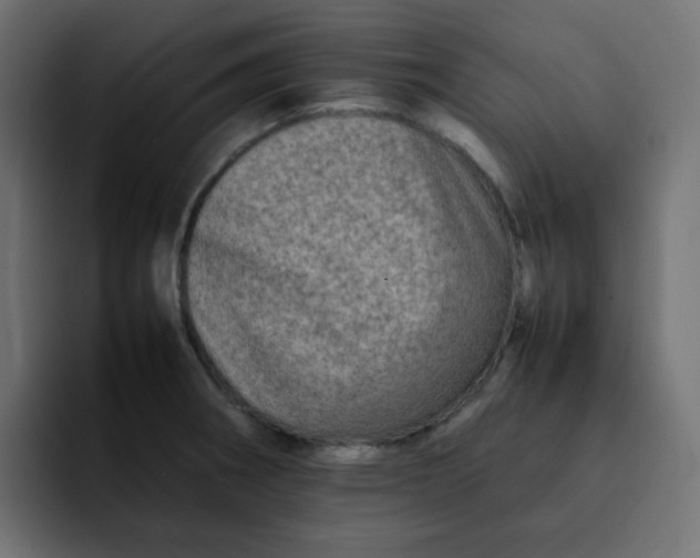 X0000092061282200710031054