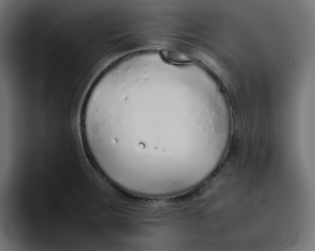 X0000092061283200710031054