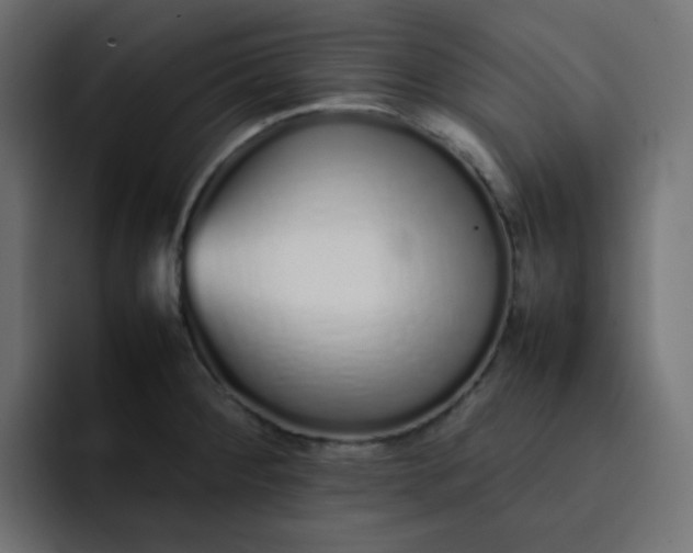 X0000092061284200710031054