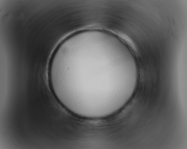 X0000092061288200710031054