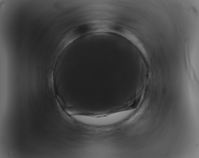 X0000092061289200710031054