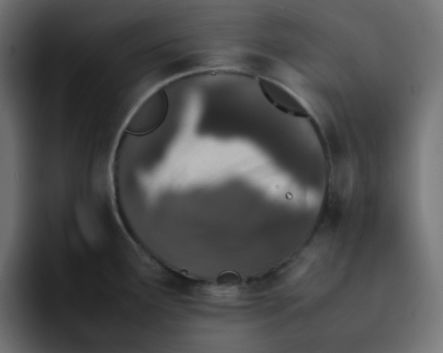 X0000092061291200710031054