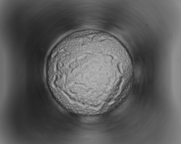 X0000092061294200710031054