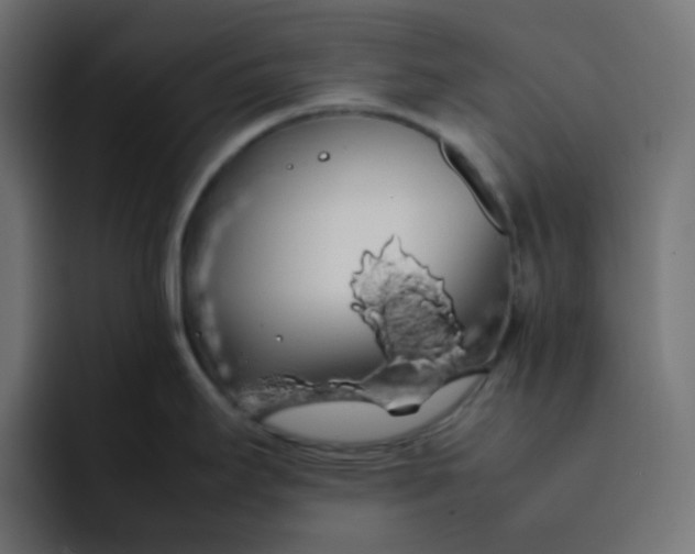 X0000092061295200710031054