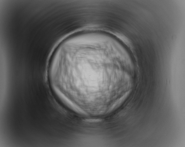 X0000092061296200710031054