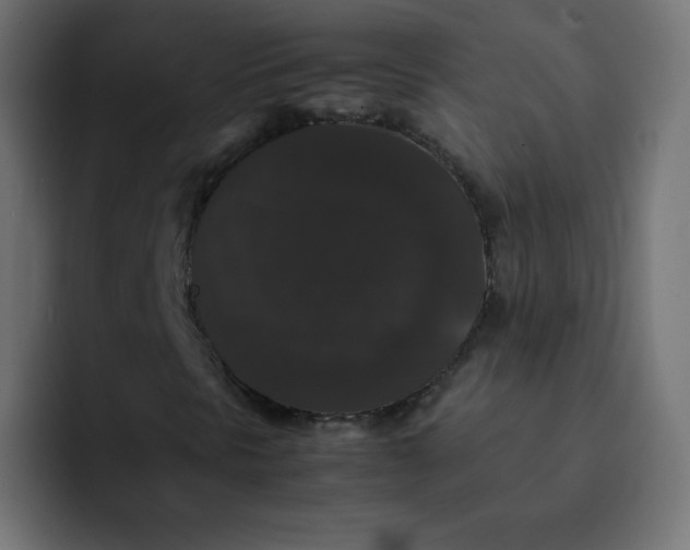 X0000092061297200710031053