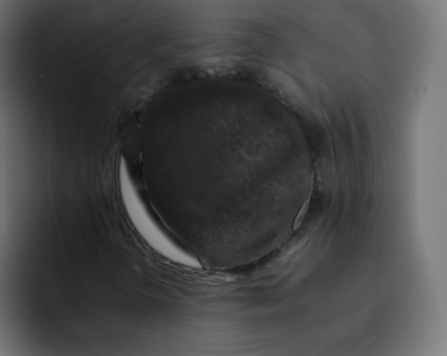 X0000092061298200710031053