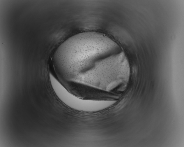 X0000092061300200710031053