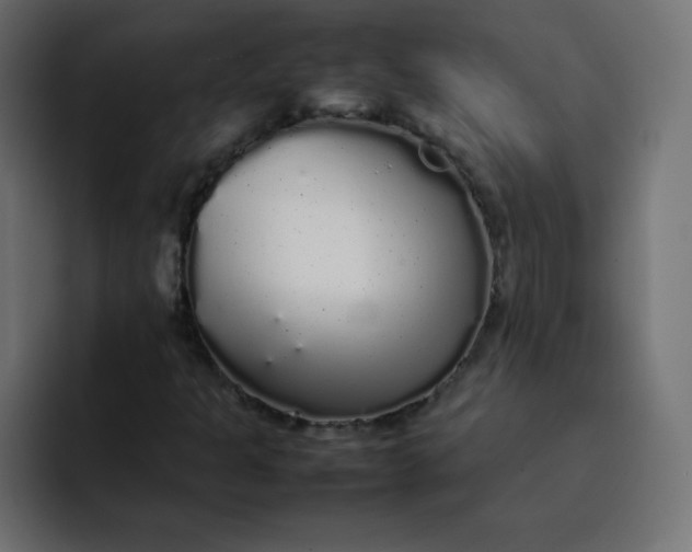 X0000092061301200710031053