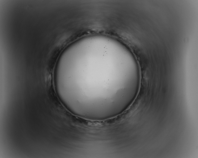 X0000092061302200710031053