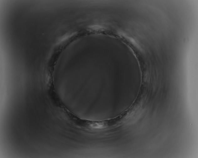 X0000092061303200710031053