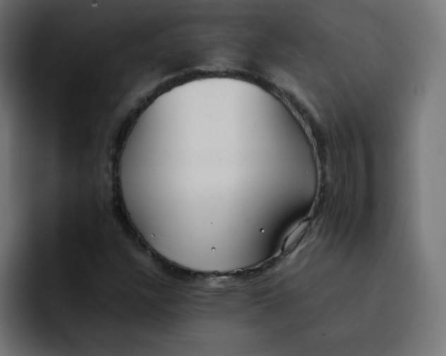 X0000092061304200710031053