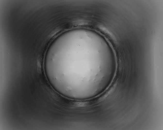 X0000092061305200710031053