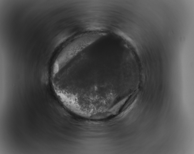 X0000092061306200710031053