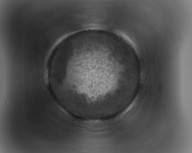 X0000092061310200710031053