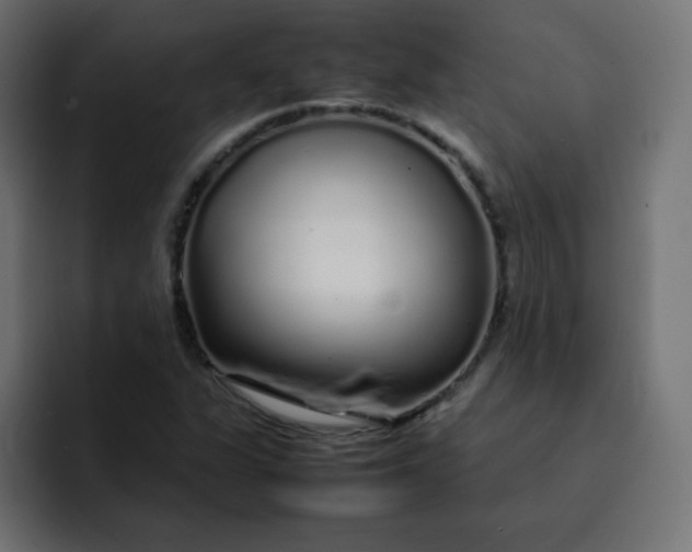 X0000092061311200710031053