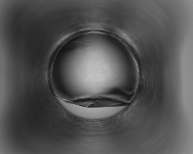 X0000092061312200710031053