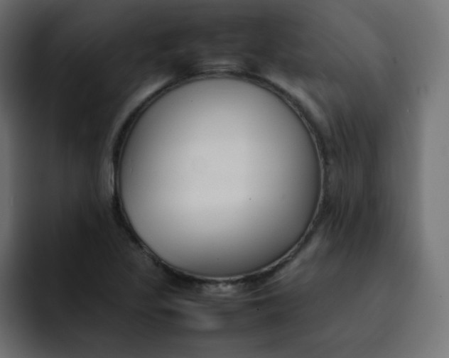 X0000092061317200710031053