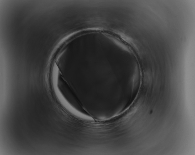 X0000092061319200710031053