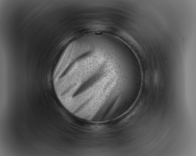 X0000092061321200710031053