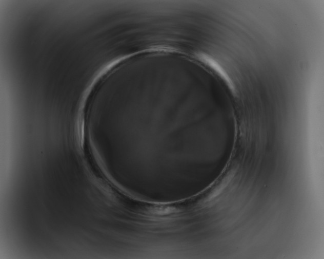 X0000092061323200710031053