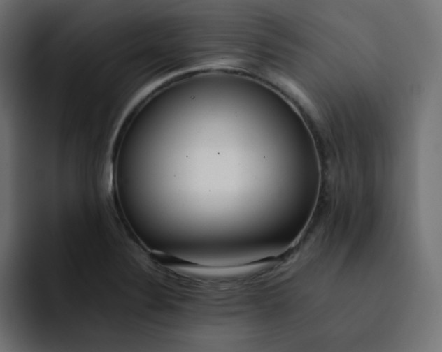 X0000092061324200710031053