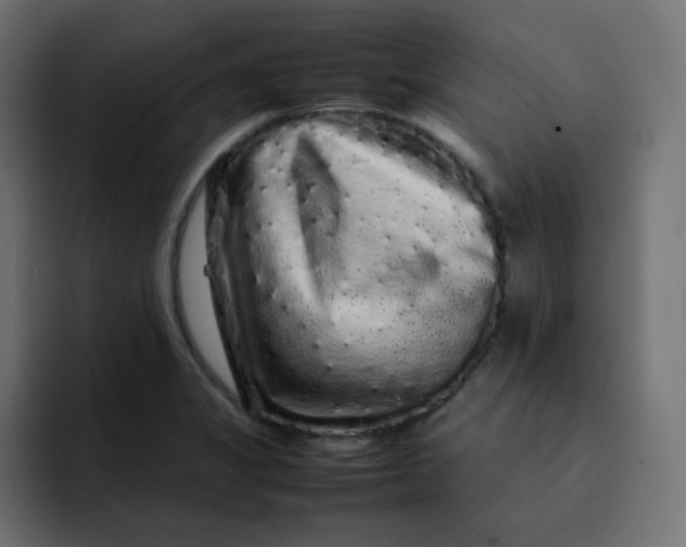 X0000092061325200710031053