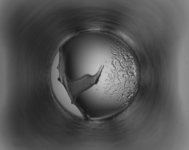 X0000092061329200710031053