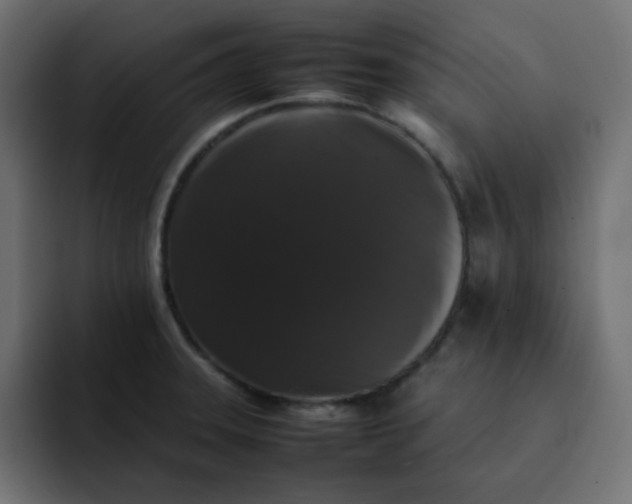 X0000092061331200710031053