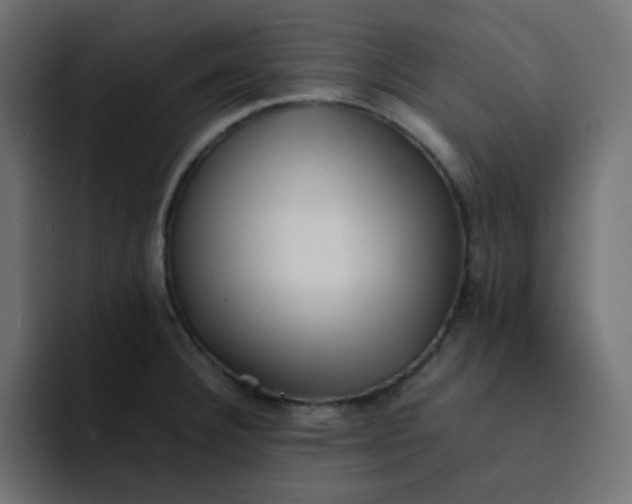 X0000092061332200710031054